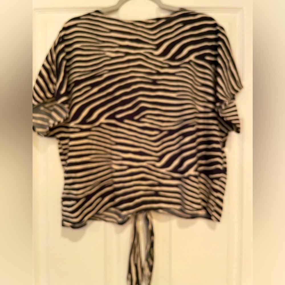 H&M Zebra Print Button Front Crop Top Sz 14 - image 3